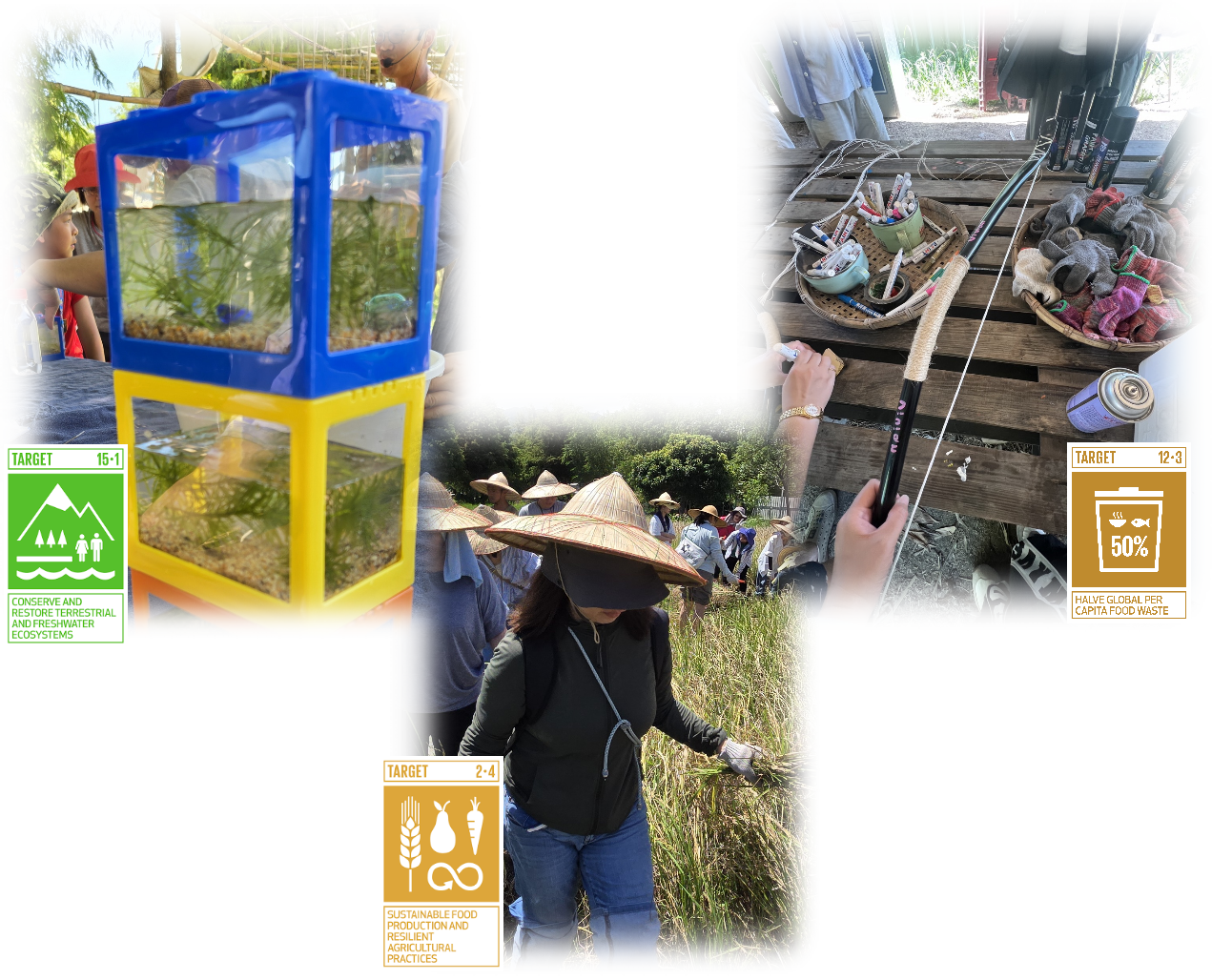 榮昌科技攜手員工家庭走進「卡稻農」體驗ESG農食教育 - Grand-Tek